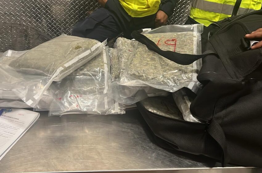 DNCD incauta 42 paquetes de presunta marihuana en aeropuerto de Punta Cana
